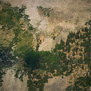 Deforestation aerial